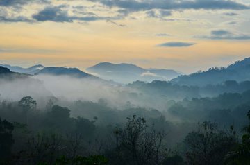 Misty Sunrise above mountains in Carara National Park, Costa Rica. Photo: Bob Hilscher/Shutterstock