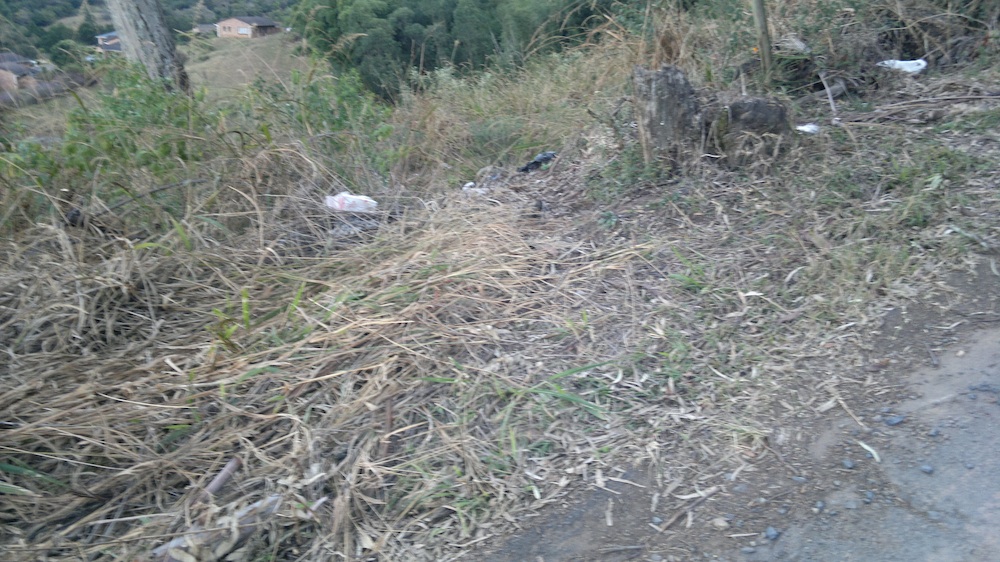Short path from roadside to trash heap