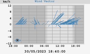 Wind Vector