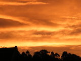thumbs/sunset02.jpg