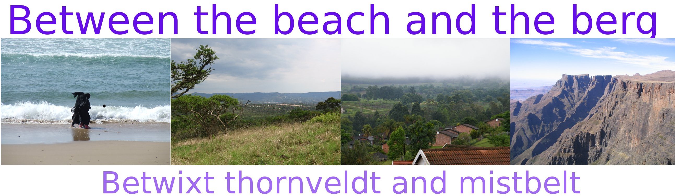 picpmb.co.za - the City of Choice - Pietermaritzburg