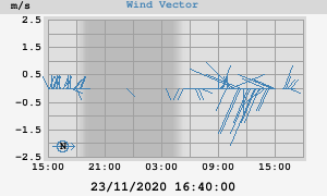 Wind Vector